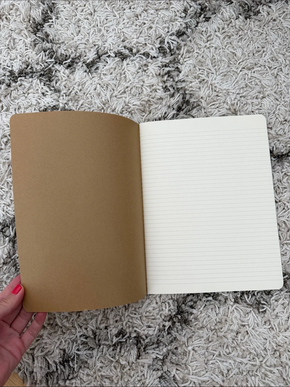 Moleskine Tan Notebook